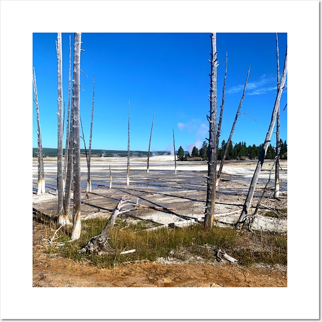 Dead Trees on the Geyser Wall Art by EdenLiving